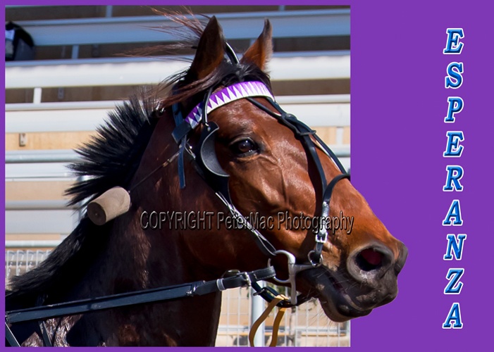 Race Day Photo R1A