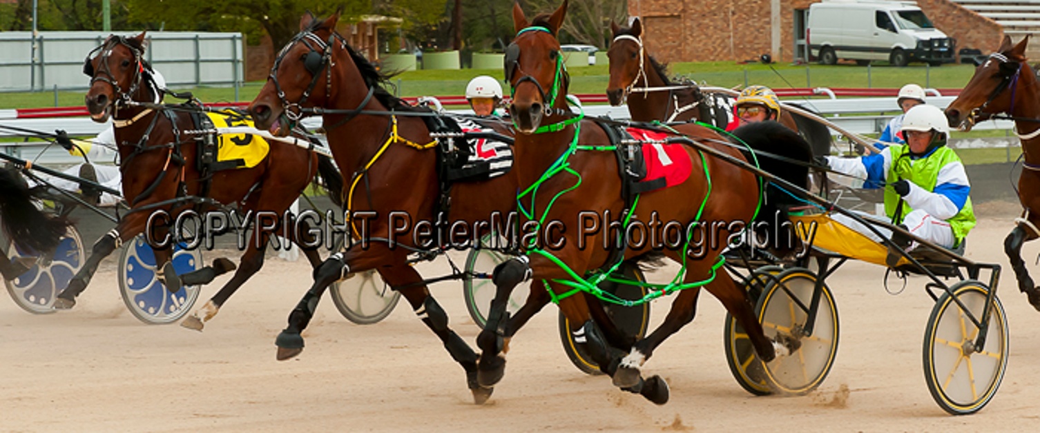 Race Meeting Report Thursday 4th October at Armidale Paceway