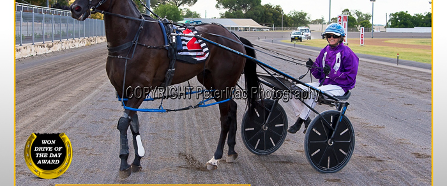 Race Meeting Report Thursday 29th December 2022