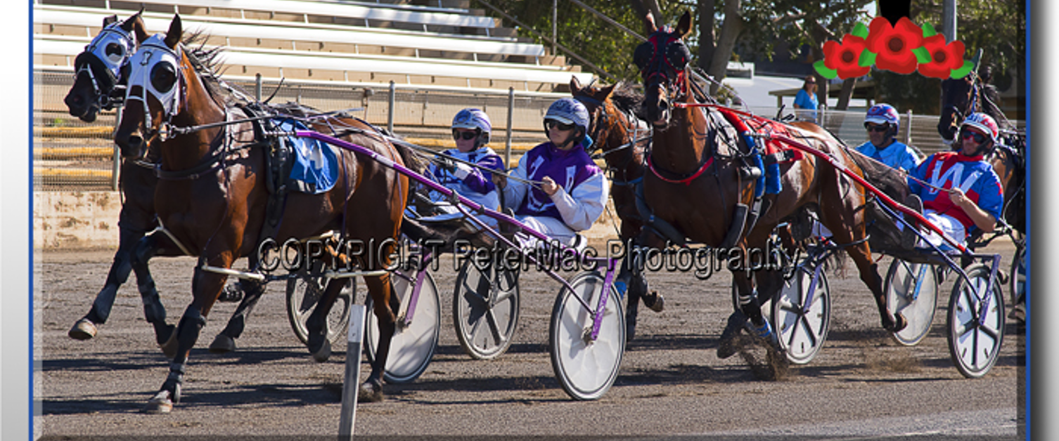 Race Meeting Report Thursday 23rd April 2020