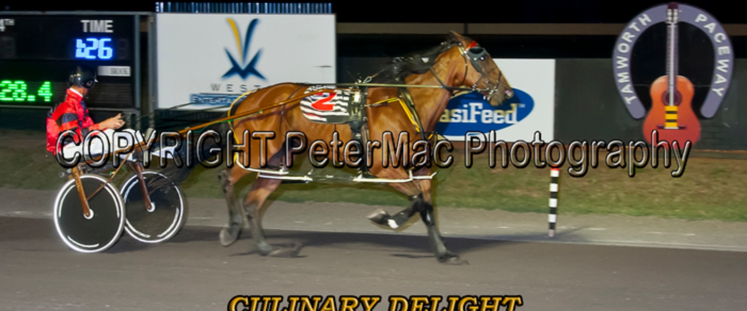 Julie Maughan's Raceday Report Wednesday 14 December 2016 - Dash For Cash