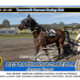 Race Meeting Report Thursday afternoon 2nd October 2025