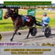 Race Meeting Report Thursday 9th September 2021