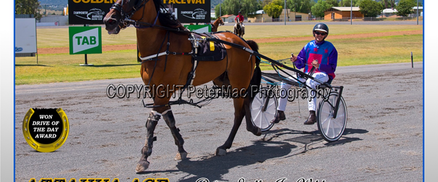 Race Meeting Report Wednesday 17th February 2021