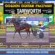 Race Meeting Report Thursday 12th June 2025