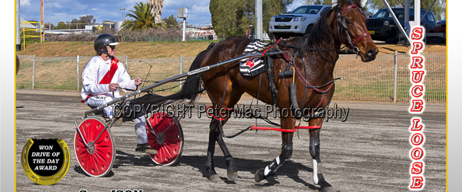 Race Meeting Report Thursday 16th July 2020