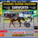 Race Meeting Report Thursday afternoon 25th June 2026