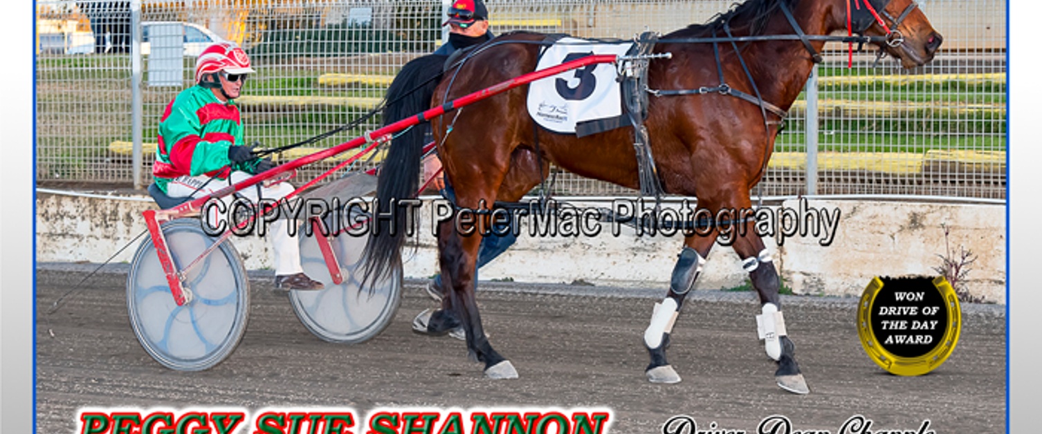 Race Meeting Report Thu 29th July 2021