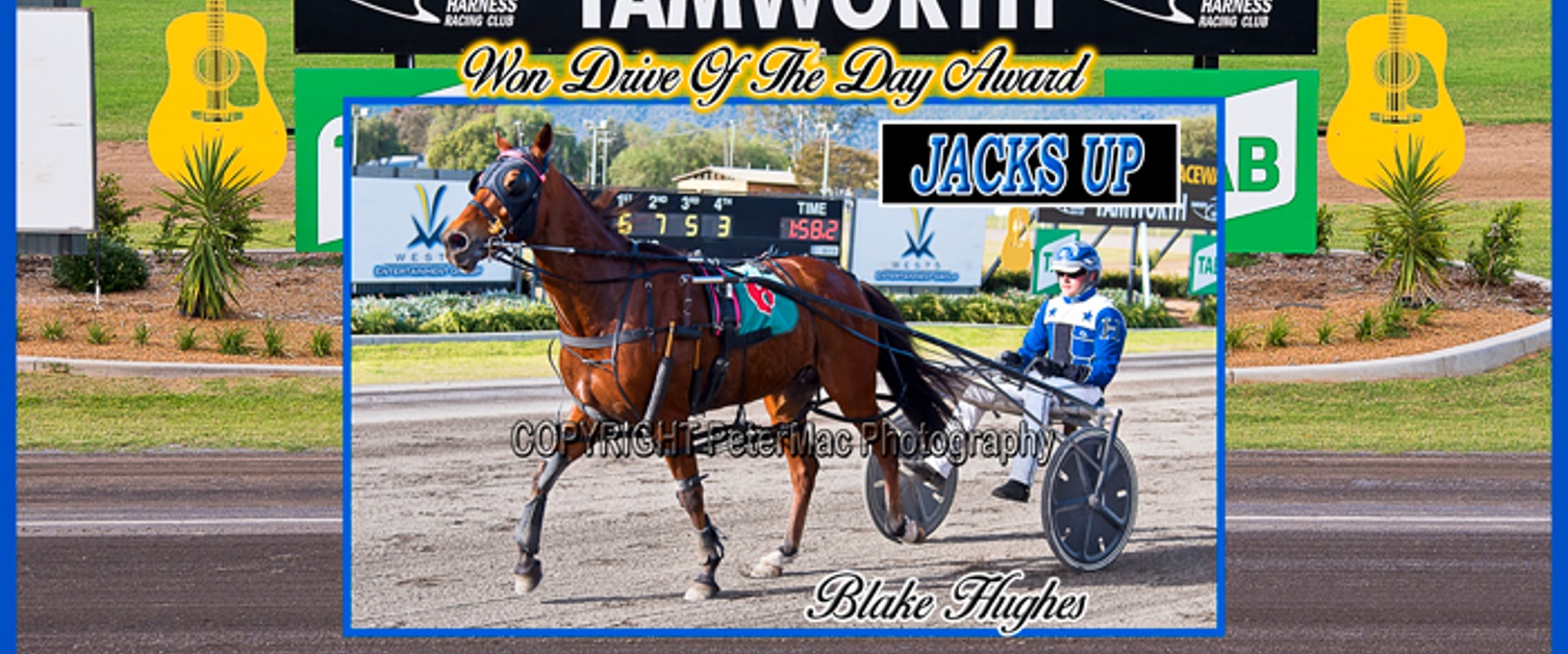 Race Meeting Report Thursday afternoon 19th June 2025