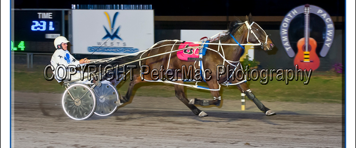 Race Meeting Wednesday 27th September 2017