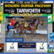 Race Meeting Report Thursday Afternoon 11th June 2026