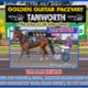 Race Meeting Report Thursday afternoon 17th July 2025